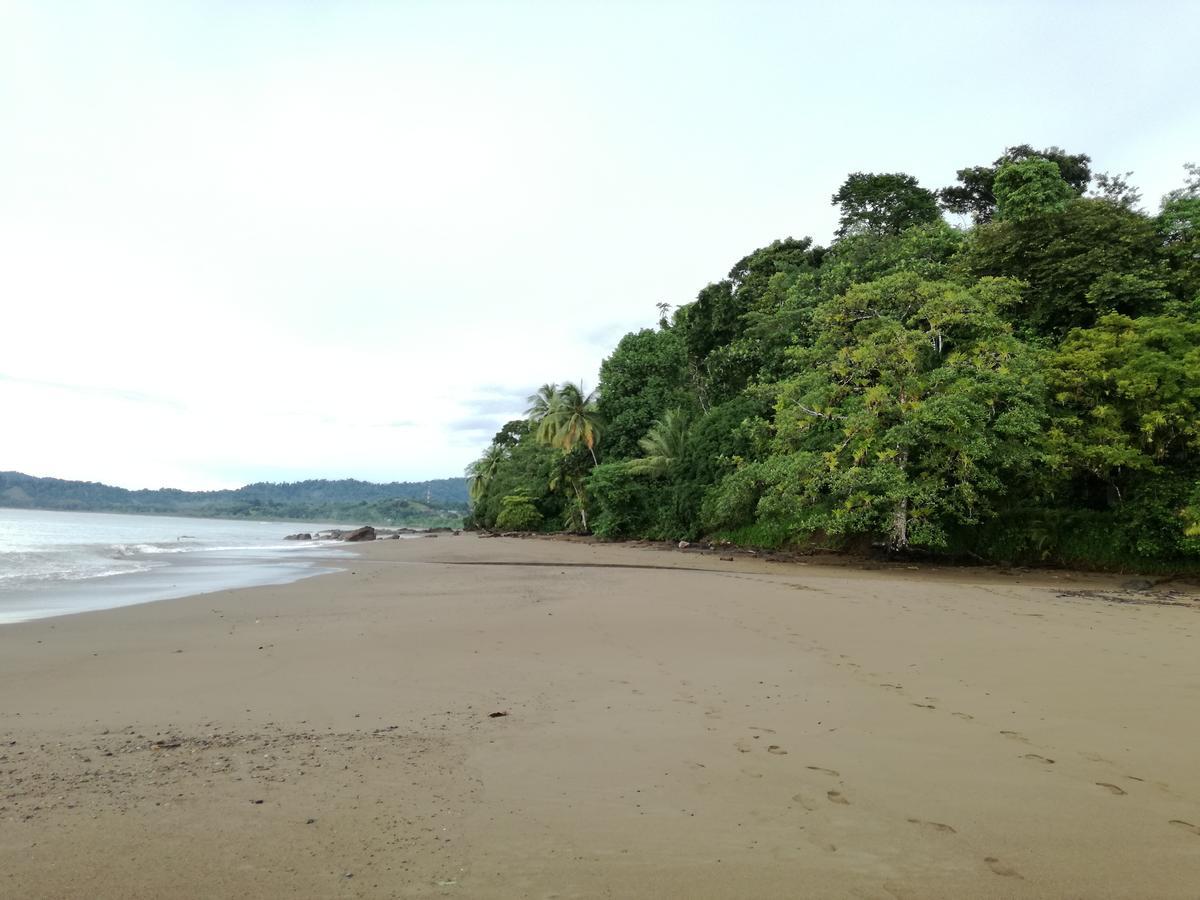 Osa House - Drake Corcovado Tours Bed & Breakfast Drake Bay Exterior photo